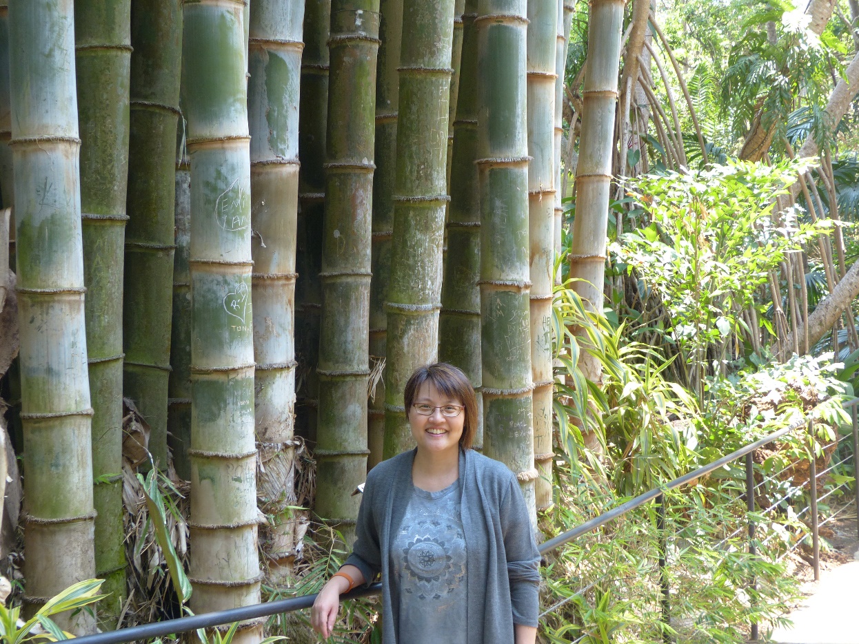 LIFE LESSON FROM A CHINESE BAMBOO TREE - Grace SOULutions